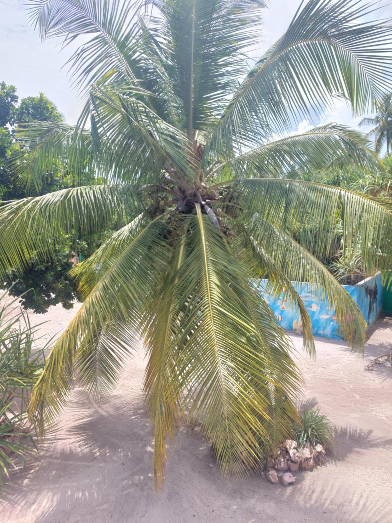 Princess Of Zanzibar Michamvi Buitenkant foto